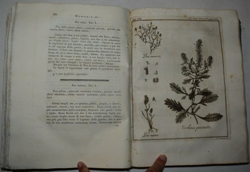 Matematica fig 1802 - fig.,