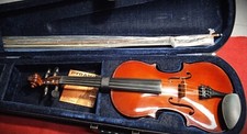 Violino da studio 4/4 Amplificato con custodia ed accessori