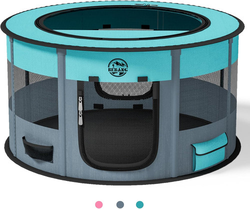 Box per cani grande - grande, penna