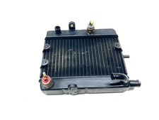 RADIATORE RADIATOR ACQUA