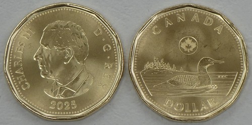 Canada dollaro moneta - canada/canada,