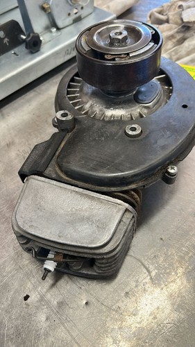 Motore piaggio c1m per - motore,