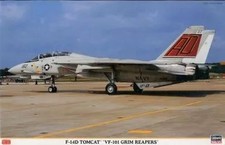 Hasegawa 1/48 F-14D Tomcat