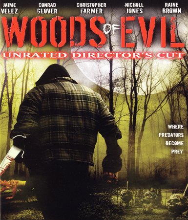 Woods evil - (dvd,, 2006)