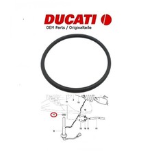 Ducati oem guarnizione - oem,