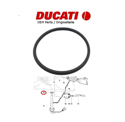 Ducati oem guarnizione - ducati,