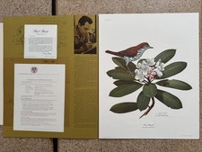 Stampa artistica litografia