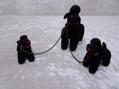 Max carl hundegruppe - carl, 3