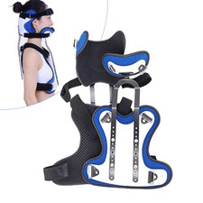 Collo petto vertebre