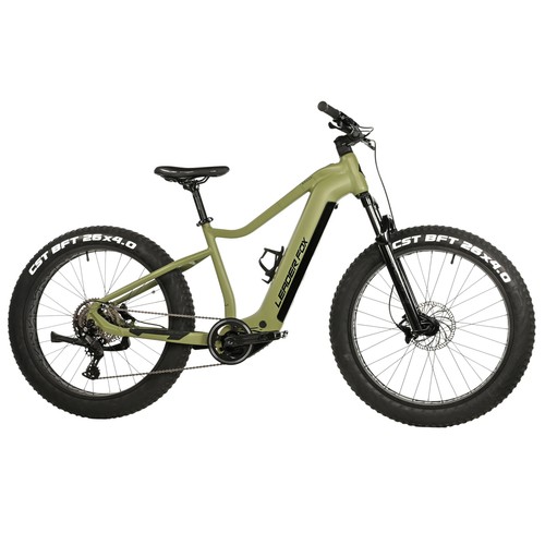 Bicicletta elettrica vae - bicicletta, elettrica-vae