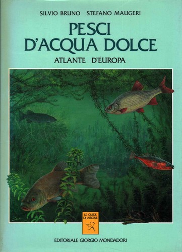 Pesci acqua dolce silvio - pesci,