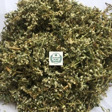 Aerva Lanata Polpala tisana