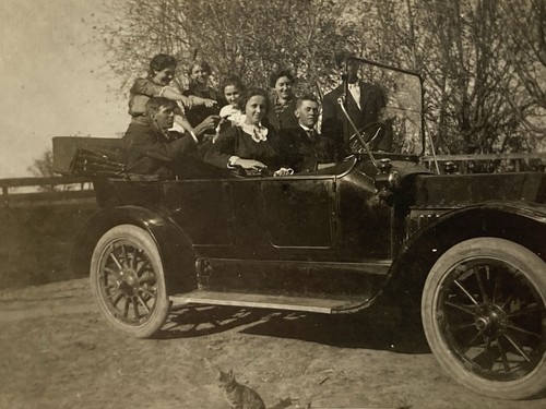 1913 cat sitting - 1913, next