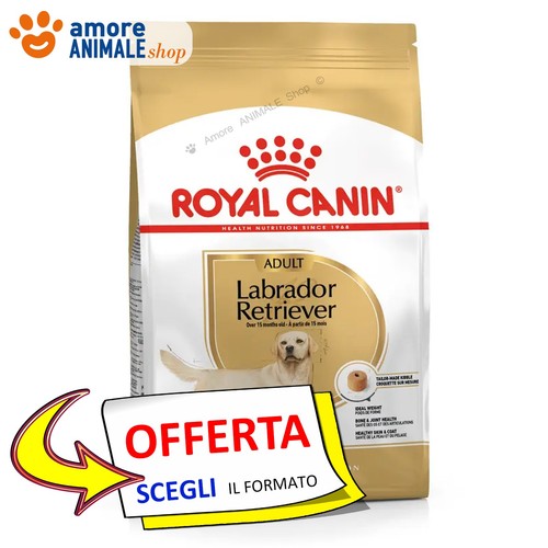 Royal canin dog adult - dog, →