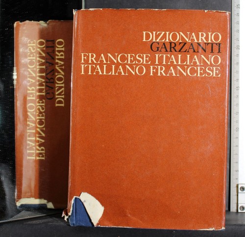 Dizionario francese italiano - dizionario,