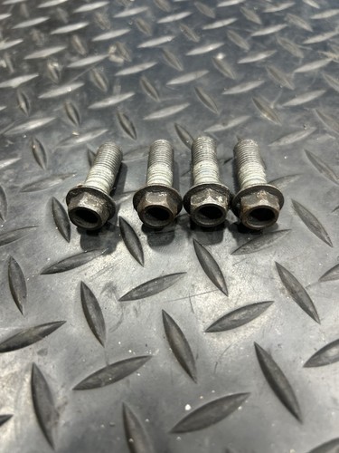 Bullone supporto pinza freno