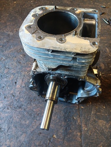 Blocco motore craftsman briggs - motore,