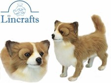 Hansa marrone e bianco