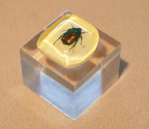 Fermacarte lucite maggiolino - fermacarte,