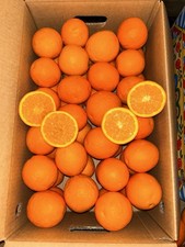 Arance di Sicilia,Varietà