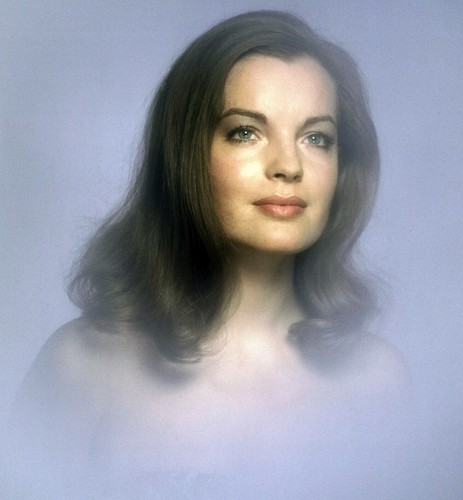 Romy schneider sexy 10x10 - schneider,
