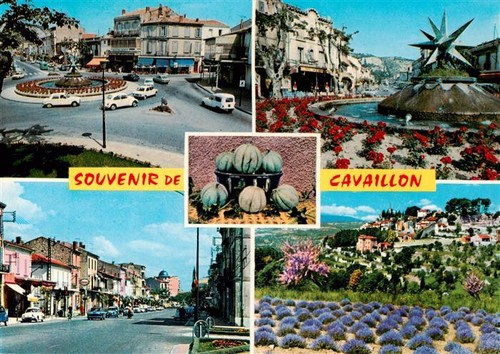Cavaillon souvenir - souvenir, de
