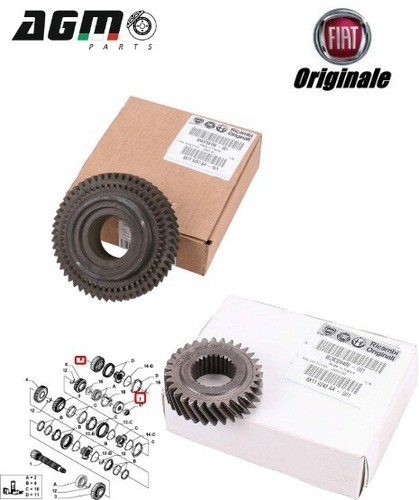Kit ingranaggio marcia 53x31 - 5,
