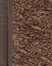 I misteri di Napoli. Romanzo