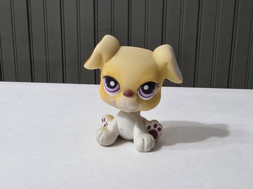 Hasbro littlest pet shop - pet,
