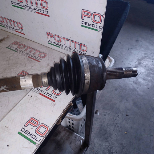 51955476 semialbero ant - 51955476,