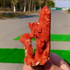 61G Corallo morbido rosso