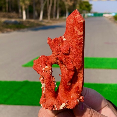 61g corallo morbido - morbido, rosso