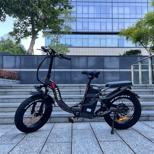 Bicicletta elettrica