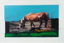 Mirko Pagliacci - Acrilico su