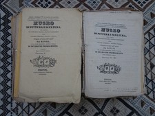 Museo di pittura e scultura