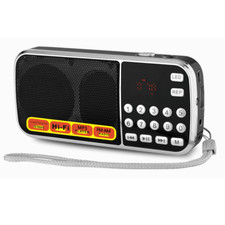 Portable digital radio - radio, fm