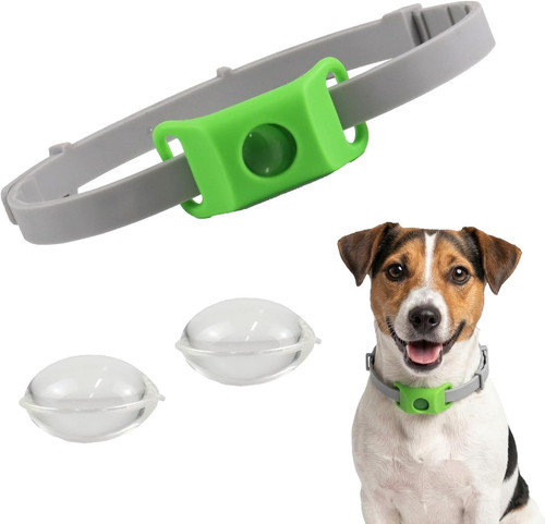 Collare antipulci cane - collare,