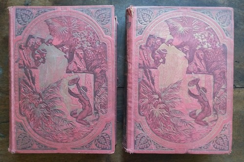 Sacra bibbia illustrata da - sacra,