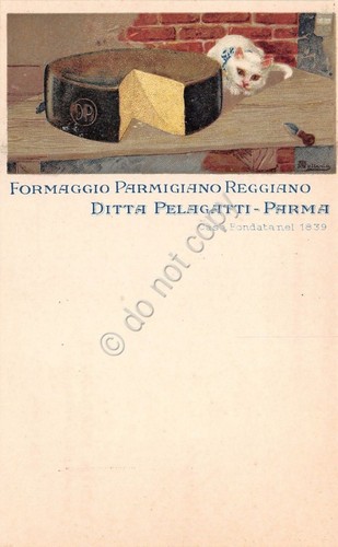 Cartolina illustrata - cartolina,