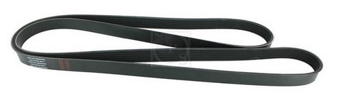 Cinghia poly per - cinghia,