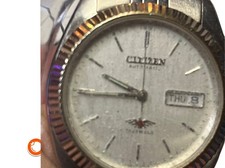 Citizen Automatic Eagle 21Jew