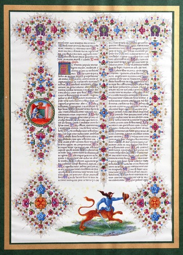 Stampa fotografica stampa