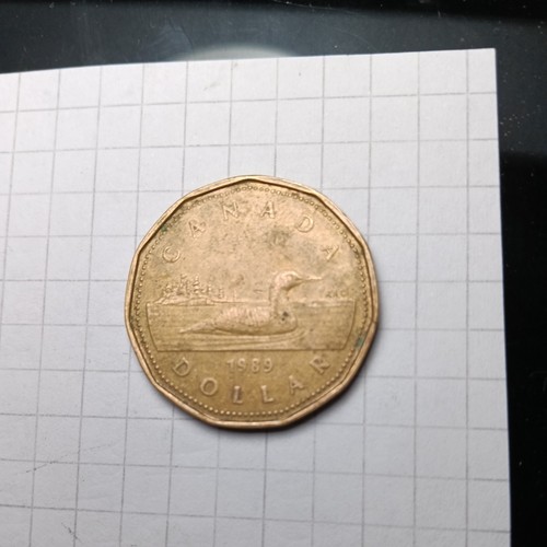 Moneta dollaro canadese 1989 - dollaro,