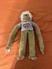 New York Giants Super Bowl