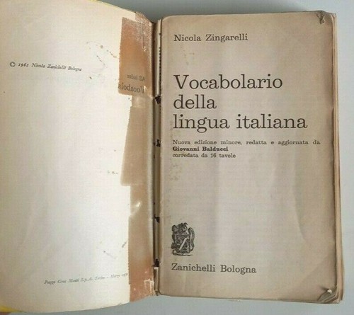 Vocabolario della lingua - vocabolario,