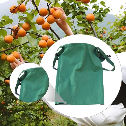Borsa per raccolta della - raccolta,