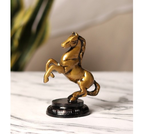 Gambe sollevate cavallo - gambe,