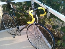 Faggin Road Bike