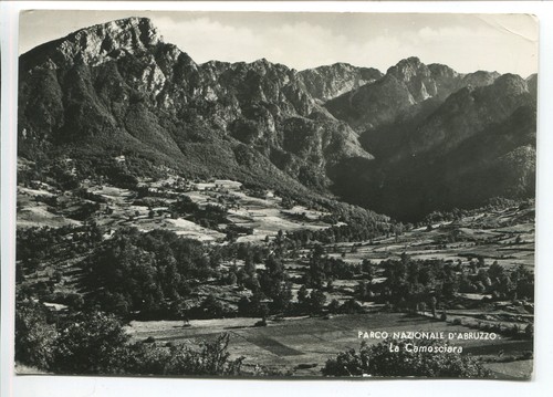 1968 parco abruzzo - d'abruzzo, guller