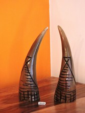 Coppia corna bue africano - corna,